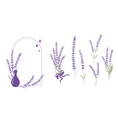 Set Of Lavender Flowers