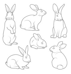 Cute Bunny Rabbit Outline Sketch Line Art In