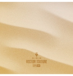 Texture of sand Royalty Free Vector Image - VectorStock