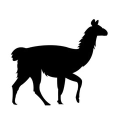 Llama Silhouette