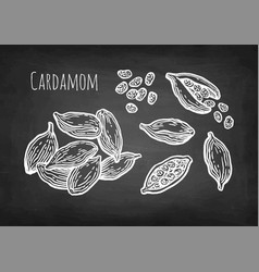 Cardamom Chalk Sketch Set