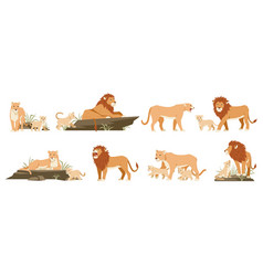 Cartoon Lions Cute Lionesses And Cubs Wild