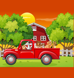 Many Dogs Riding On Red Truck In The Farm