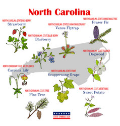 North Carolina Set Usa Official State Symbols