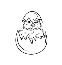 Coloring Book With A Small Chicken In An Eggshell