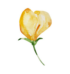 Watercolor Yellow Flower Bud