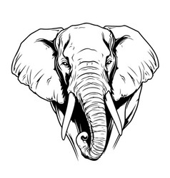 Elephant Face Sketch Hand Drawn Graphic Safari