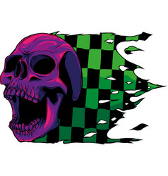 Skull With Race Flag On White