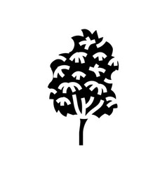 Kauri Tree Jungle Amazon Glyph Icon