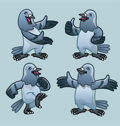 Set Cartoon Character Pigeon Bird