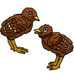 Two Baby Turkey Cartoon Colored Clipart