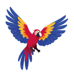 Colombian Culture Macaw