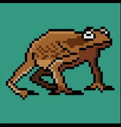 Frog With Pixel Art