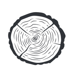 Tree Trunk Cross Section