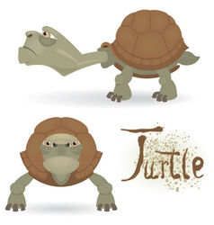 Cartoon Turtle