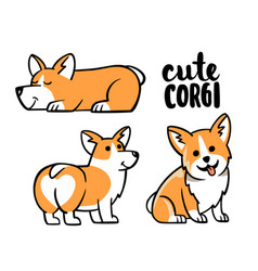 Cute Corgi Dog Set And Winking With Happy Face