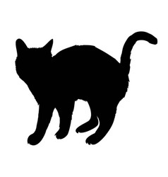 Black Silhouette Of Cat Sitting Sideways Isolated