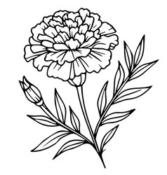 Hand Drwn Marigold Simple Smal Tattoo Drawings