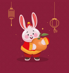 Chinese Rabbit With Orange