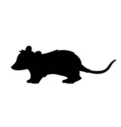 Dark Silhouette Of Opossum