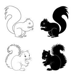 Squirrel Icon