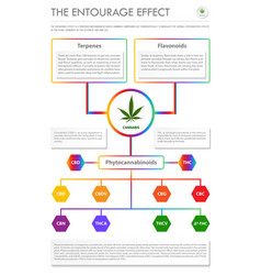 Entourage Effect Vertical Business