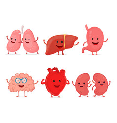 cute smiling happy human healthy strong organs set vector image