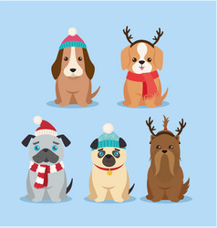 Five Cute Christmas Dogs