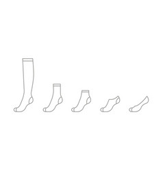 Set Sock For Woman From Long To Short Outline