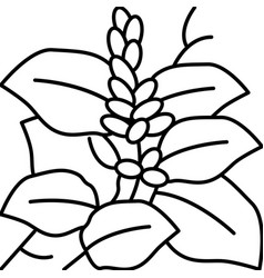 Kudzu Plant Line Icon