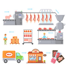 Meat Manufacturing Beef Production Process