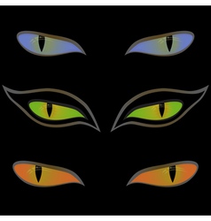 Three Pairs Of Cat Eyes Over Black