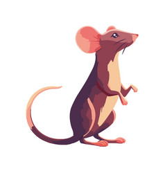 Small Rat Sitting