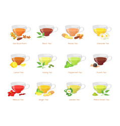 Herbal Tea Types Different Type Green Black Teas