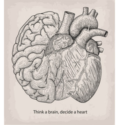 Heart With Half Brain Of Human Together Hand