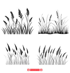 Whimsical Ornamental Grass Dreamy Flora For