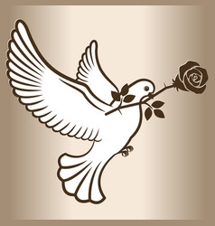 A Carrier Pigeon With Flower