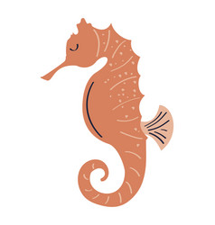 Seahorse Sealife Animal