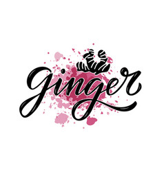 Ginger Black Word On Pink Watercolor Background