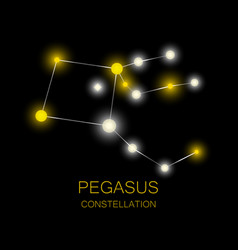 Pegasus Constellation Bright Yellow Stars