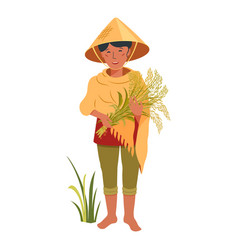 Asian Farmer Growing Rice Vietnamese Woman