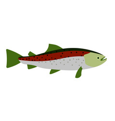 Rainbow Trout Cartoon