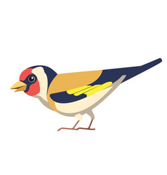 European Goldfinch Is A Small Passerine Bird