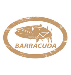 Barracuda