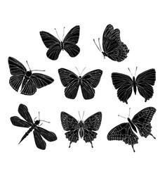 Butterfly Black Detail Silhouette Art