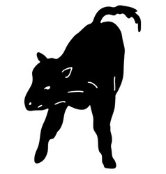 Calf Silhouette Cattle