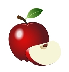 Fresh red apple isolated on white graphic Vector Image