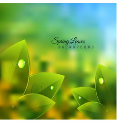 Beautiful Spring Background With Leaves