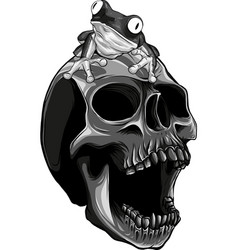 Monochromatic Frog On Human Skull