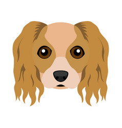 Cute Cavalier King Charles Spaniel Dog Avatar